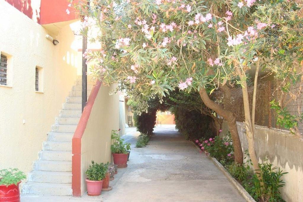 كاندية Adonis Beach Hotel المظهر الخارجي الصورة